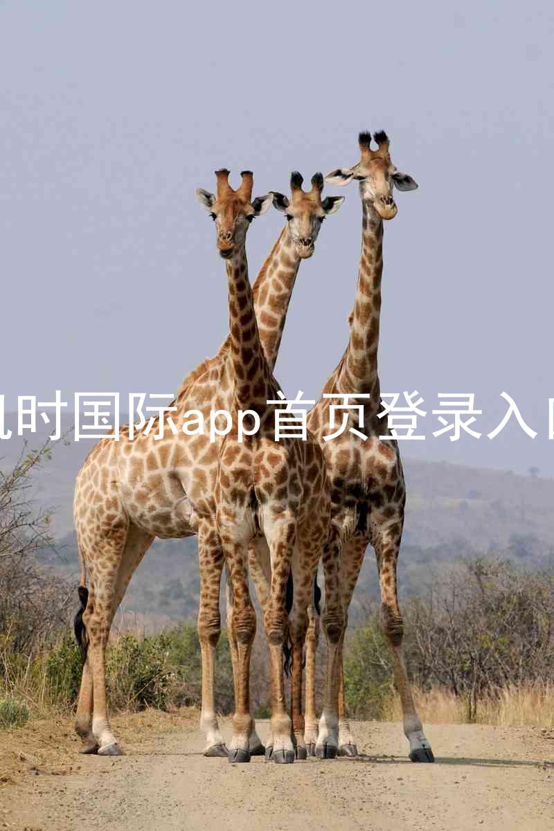 凯时国际app首页登录入口